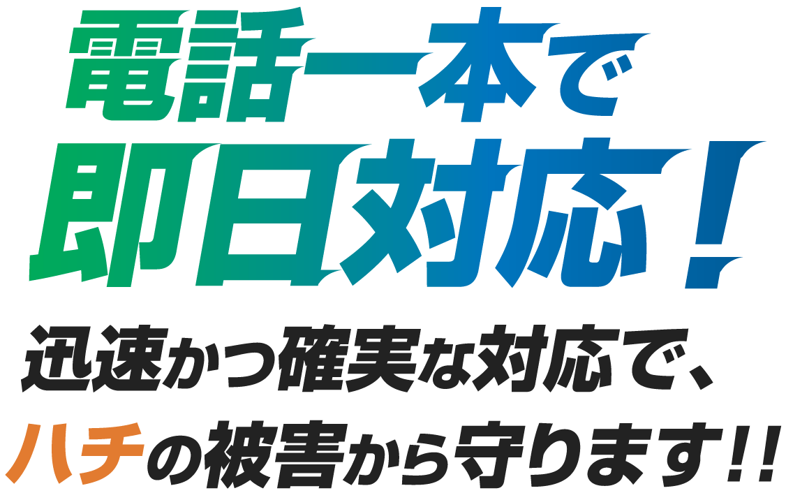 電話一本で即日対応! 迅速かつ確実な対応で、ハチの被害から守ります!!